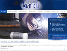 Tablet Screenshot of brandt.be